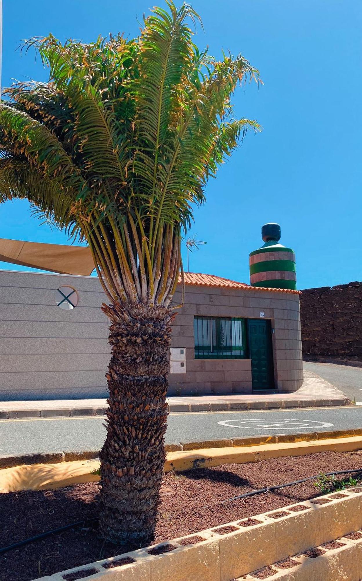Loft El Tabaibal Apartment Telde Exterior photo